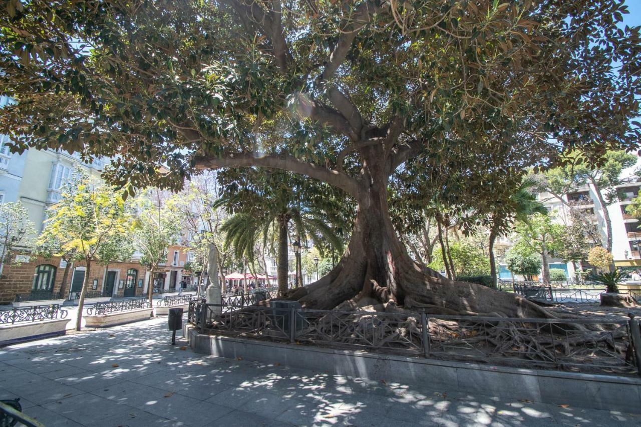 カディスApartamento Aires Mediterraneosアパートメント エクステリア 写真